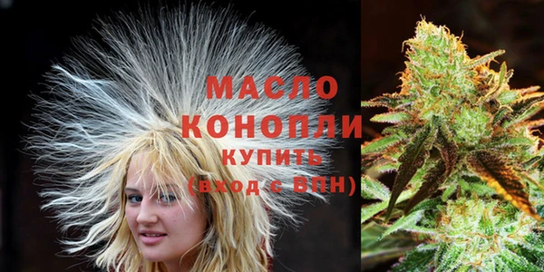 молекула духа Волоколамск