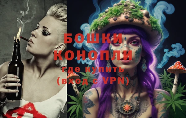 молекула духа Волоколамск