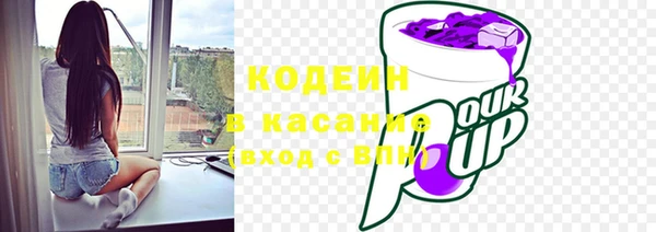 молекула духа Волоколамск