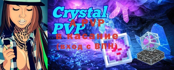 прущие грибы Верея