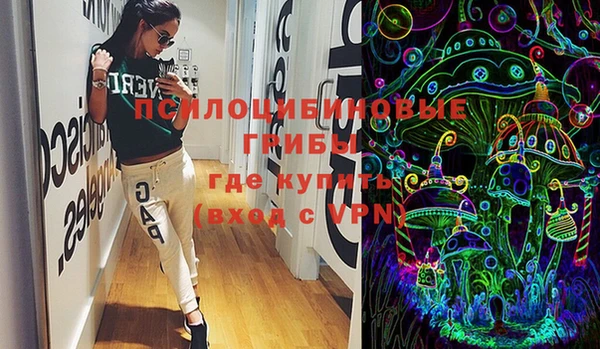 молекула духа Волоколамск