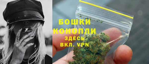 молекула духа Волоколамск