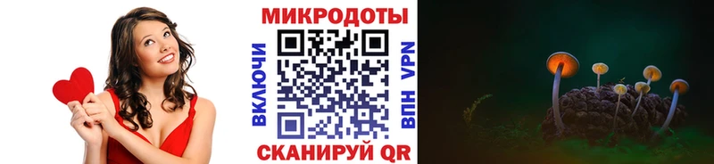 дарк нет наркотические препараты  Воркута  Галлюциногенные грибы мухоморы 